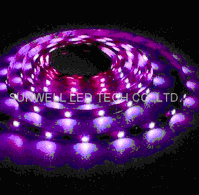 waterproof Flexible SMD5050 LED Strip/10mm/30pcs/7.2W/IP54/IP68
