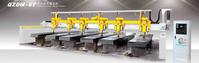 Multi-thread Bridge-type Polishing Machine