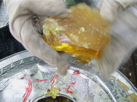 Gum Rosin, Alpha Pinene, Beta Pinene, Longifolene,