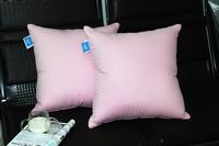 duck feather cushion