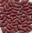 red dark kidney bean