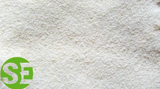 dehydrated onion powder