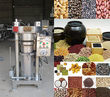 Hot sale olive oil press for sale seed oil extraction machine