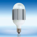 High Power LED Bulb