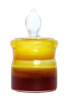 plant extract/ginger extract/high-purity gingerols
