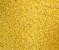 yellow millet