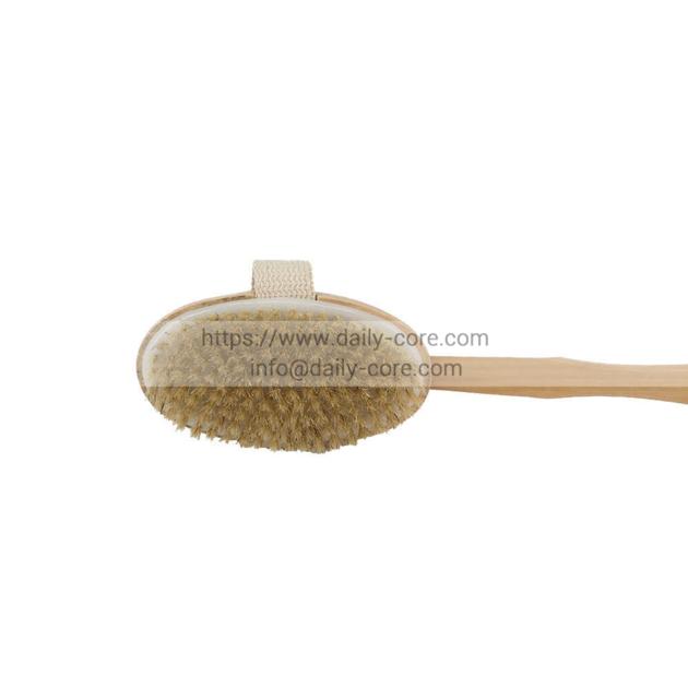 Natural Boar Bristle Body Brush DC