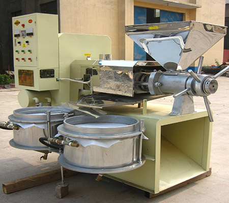 Good 200kg automatic groundnut oil mill screw oil press