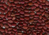 red kidney bean