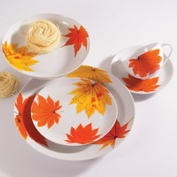20PCS PORCELAIN DINNER SET