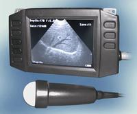 Ultrasound scanner 