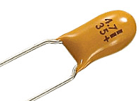 TS19