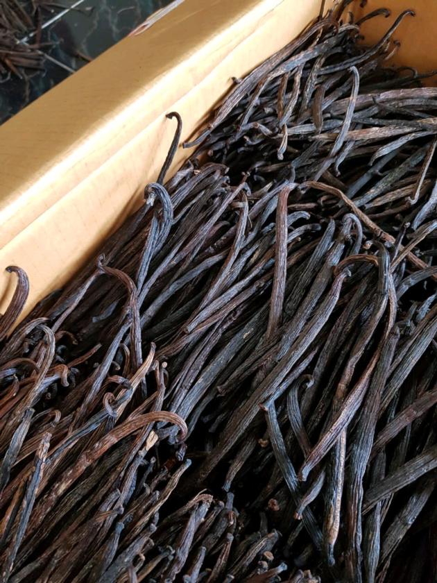 Vanilla Beans