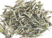 Sell Instant White Tea Powder