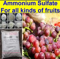 ammonium sulfate 