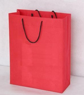 nonwoven bag