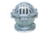 Foot valve