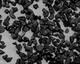 Tungsten Carbide Grit/Crushed Tungsten Carbide