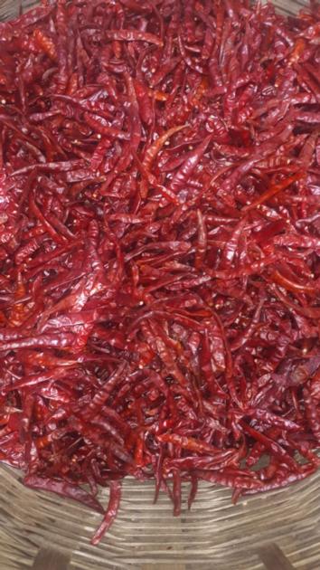 Dry Red Chillies