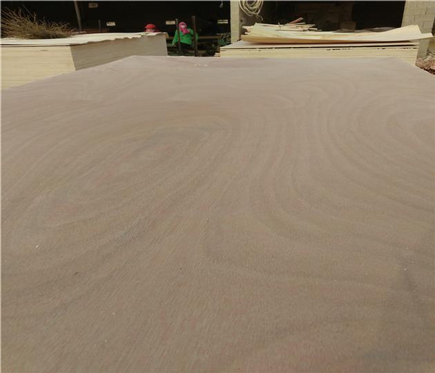 1220x2440x18mm Bintangor Plywood with Poplar Core E1 Glue