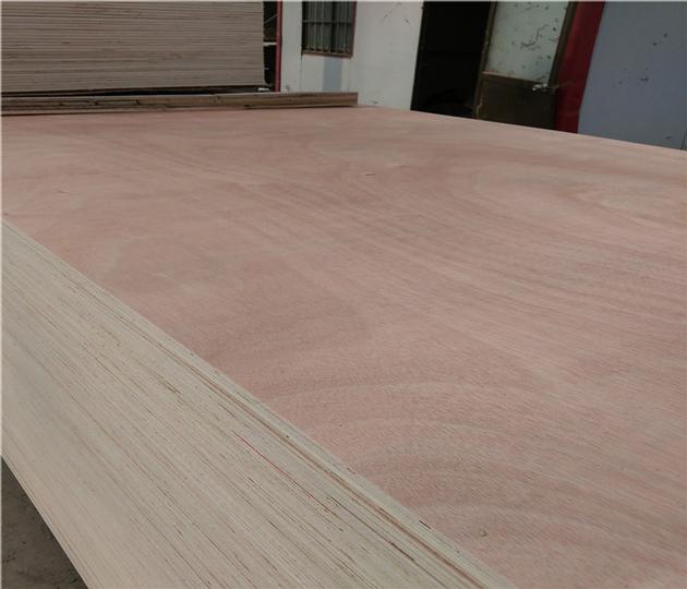 1220x2440x18mm Bintangor Plywood With Poplar Core