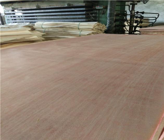 1220x2440x18mm Bintangor Plywood With Poplar Core