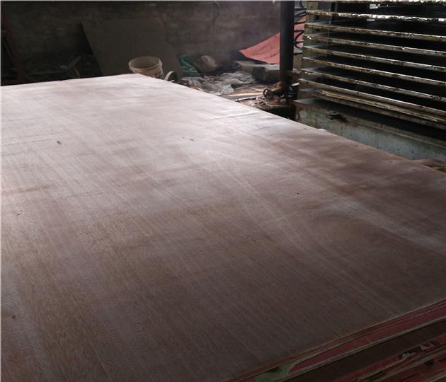 1220x2440x18mm Bintangor Plywood With Poplar Core