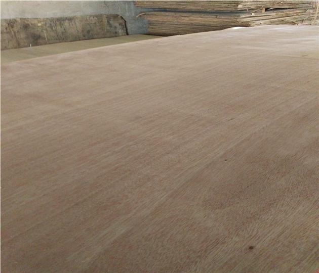 1220x2440x18mm Bintangor Plywood With Poplar Core