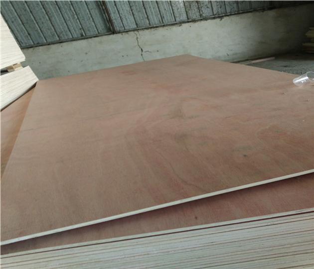 1220x2440x18mm Bintangor Plywood With Poplar Core
