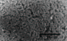 Molybdenum Oxide (high purity) MoO3 99.9%