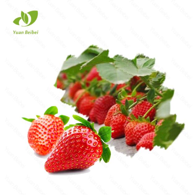 Strawberry Fruit Powder