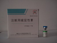 HCG (Human Chorionic Gonadotrophin )