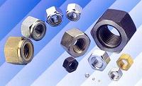Hex Nut