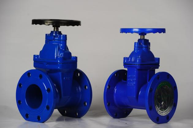BS 5163 Non Rising Stem Resilient