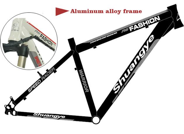 Training Mountain E Bike 26 Inch