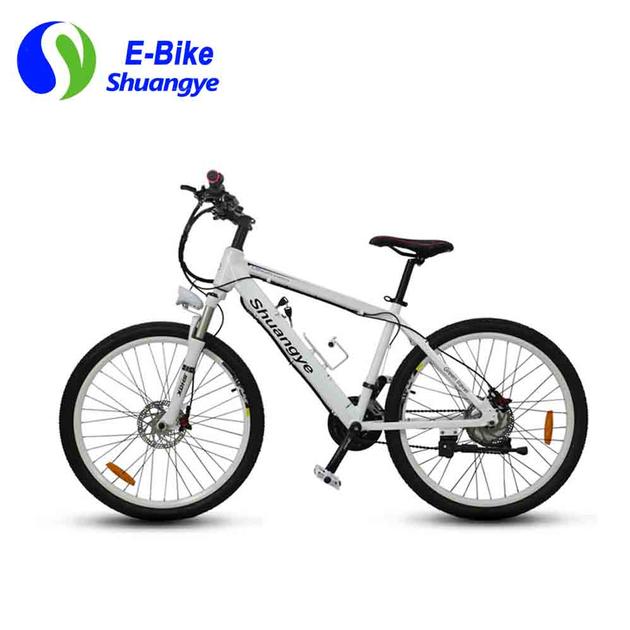 Mountain Electric Bike