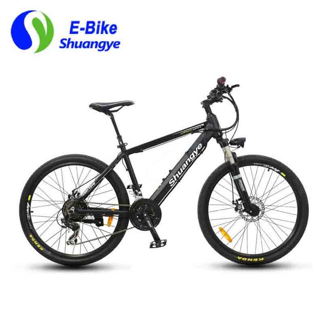 mountain electric bike