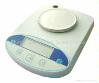 Weighing Balance