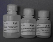 HCV Recombinant Antigens