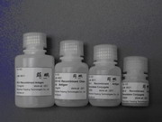 HIV Recombinant Antigens