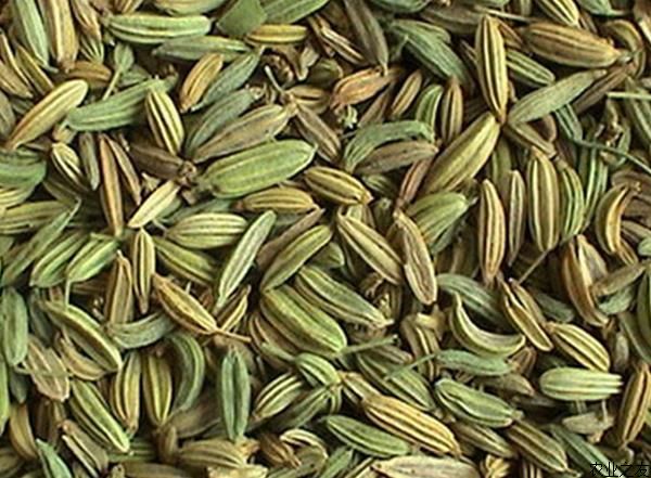 Natural Fennel Seeds