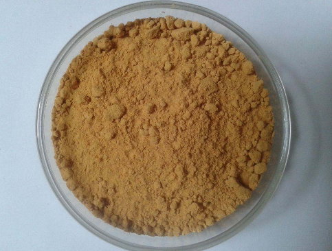 Milk Thistle Extract