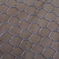 hexagonal mesh