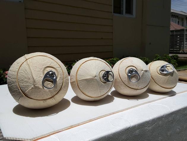Polished Fragrant Coconut 