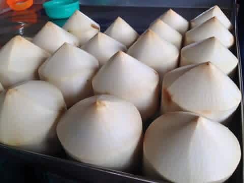 FRESH  COCONUT