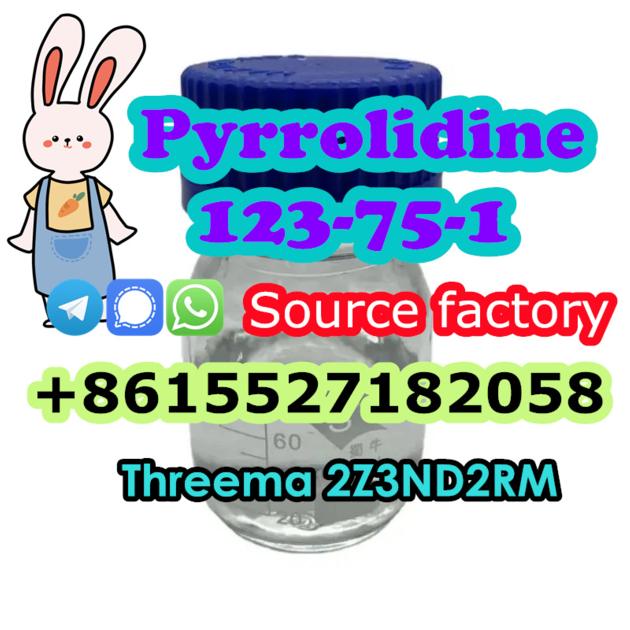 Pyrolidine CAS 123 75 1 Buy