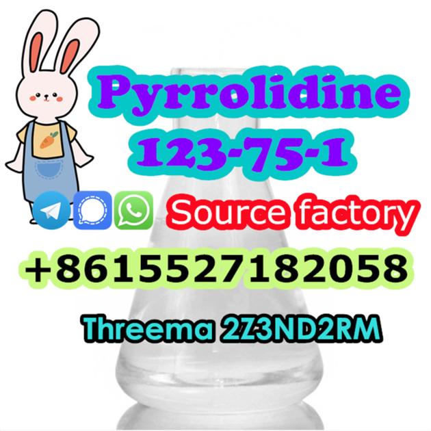 Pyrolidine CAS 123 75 1 Buy
