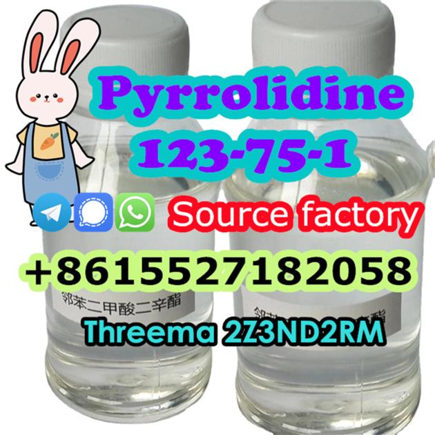 Pyrolidine CAS 123 75 1 Buy
