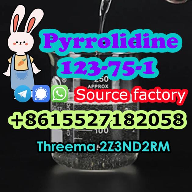 Pyrolidine CAS 123 75 1 Buy