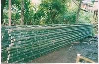 bamboo ladder